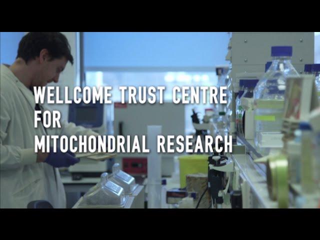 Wellcome Trust Centre for Mitochondrial Research: Research Facility Video