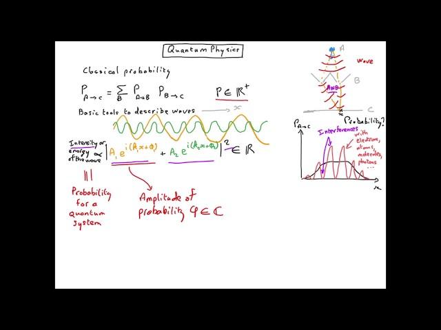 Q4 Amplitude of probability