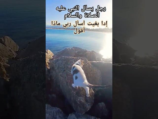 أيها الأفاضل لاتنسوا الصلاة والتسليم على رسول الله فهي مفتاح  كل خير في الدنيا والآخرة