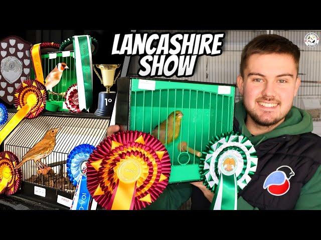 SUCCESS! | Lancashire British Bird & Hybrid Club 2024