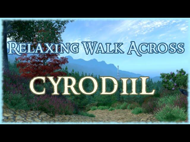 Relaxing Walk Across Cyrodiil... Again [TES4 Oblivion] 4k