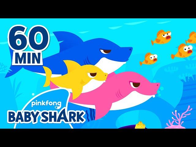 Baby Shark Doo Doo Doo 60 Min | +Compilation | Baby Shark Remix | Baby Shark Official