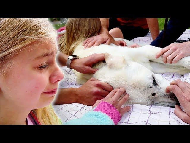 Saying Goodbye To our BEST FRIEND Polar! Emotional Dog Funeral.