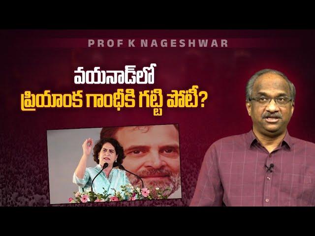 వయనాడ్ లో ప్రియాంక గాంధీకి గట్టి పోటీ? || Will Priyanka Gandhi face tough fight in Wayanad? ||