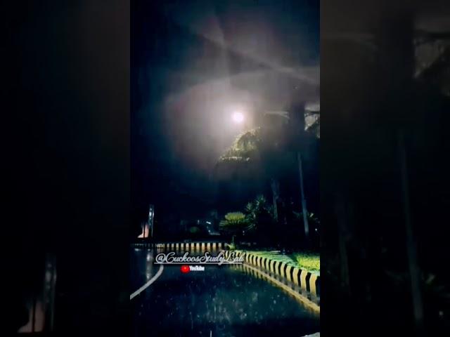 Thunderstorm, Wind and Rainfall in Islamabad| Rainy Night| #rain #viral #highlights #tiktok #shorts