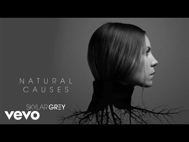 Skylar Grey - Kill For You (Official Audio) ft. Eminem