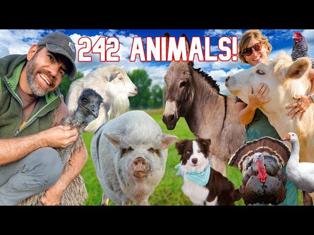 Meet All Our Animals-Morning Chores on the Farm!