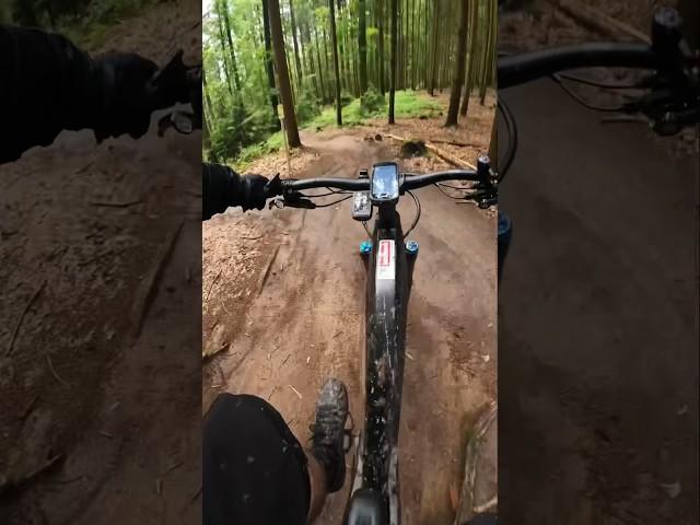 Hometrails Korb  #mtb #trailriding #shortvideo #shapeandride_ev