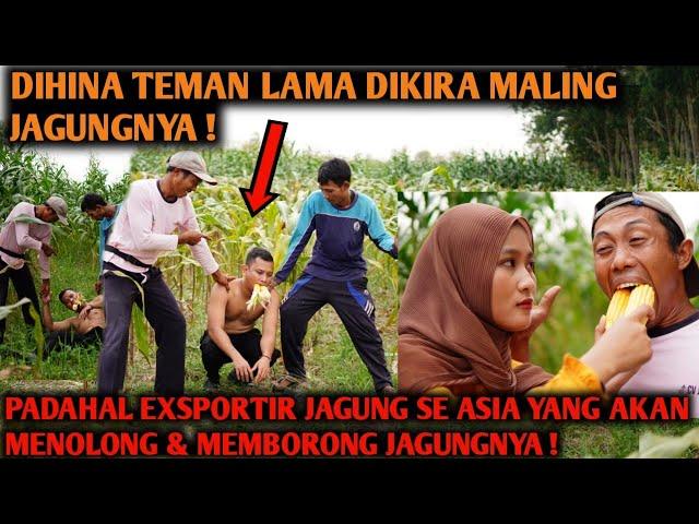 DIHINA & DITUDUH MALING JAGUNG, PADAHAL IA PENYUPLAY JAGUNG SE ASIA ! YANG AKAN MEMBORONG JAGUNGNYA!