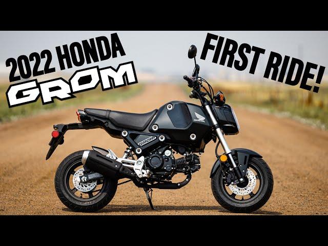 2022 Honda Grom! | First Ride Impressions...