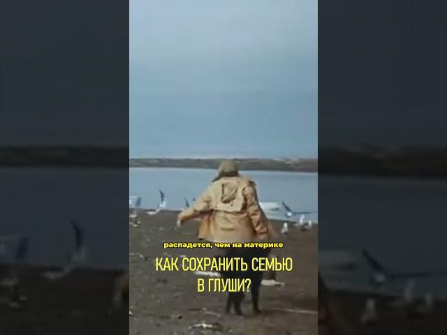 Семья, поселившаяся в глуши на Карском море #Зимовье #Хроники #shorts