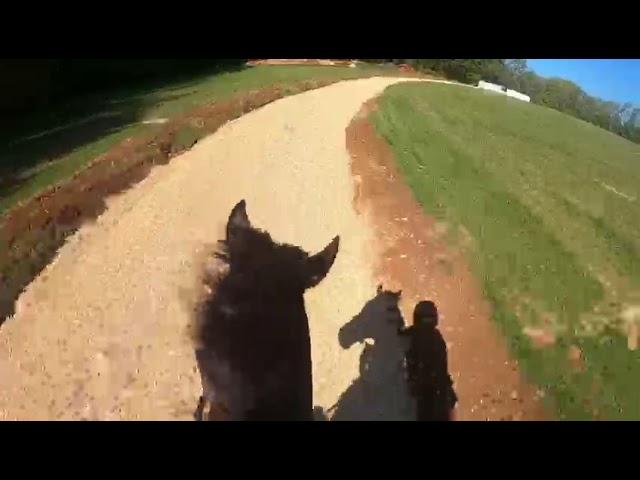 Tom George Racing - Woodchip Gallop Extension May 2020
