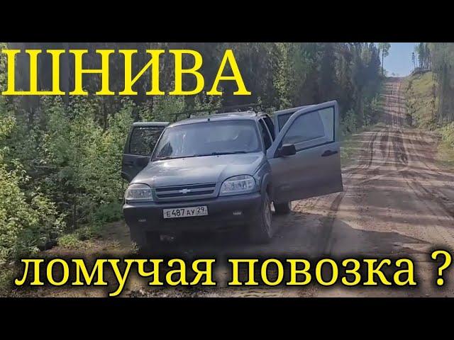ПОЧЕМУ ТАК ЧАСТО ЛОМАЕТСЯ НИВА?
