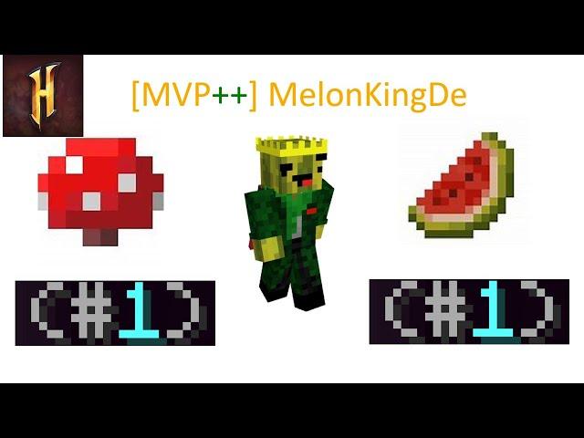 MelonKingDE- The #1 Melon Farmer in Hypixel Skyblock