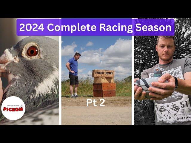 part 2 How To Train Your Pigeon. Complete 2024 Racing Season