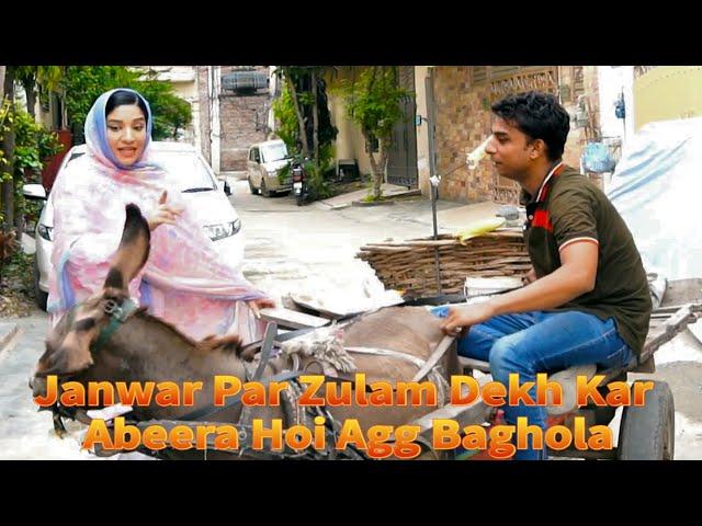 Abeera Khan Comedy Show ||  Chali Walay Ki Ai Shamat @AbeeraKhanRoadShow