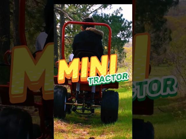 Mini Tractor available now at your nearest Massimo Dealer  #minifarmer #tinyfarm