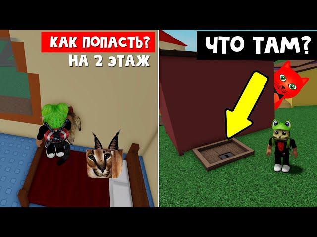 СЕКРЕТЫ И БАГИ - Шлёпа в роблокс | Raise a floppa 2 roblox | Что в подвале? Как попасть на 2 этаж?