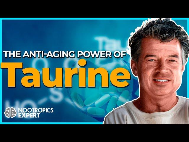 Taurine and brain function