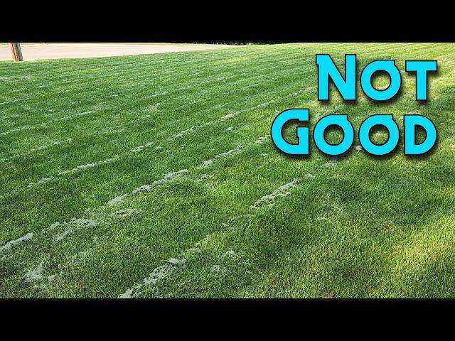 May 2023 Yard Update