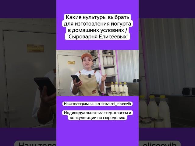 Какие культуры выбрать для изготовления йогурта в домашних условиях / "Сыроварня Елисеевых"