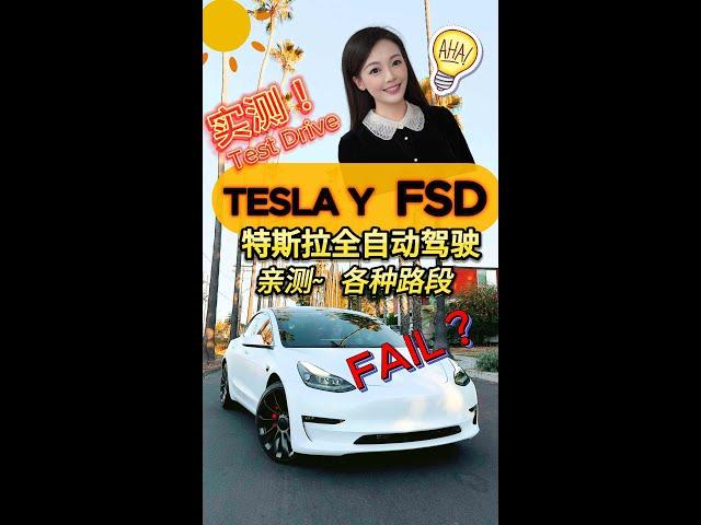 TESLA Y FSD! 特斯拉全自动驾驶2024