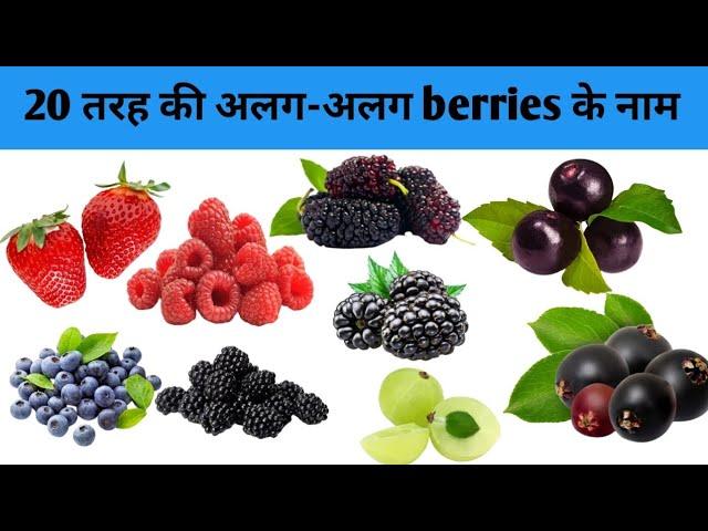 Types of berries | All berries name in hindi and English | 20 types of berries