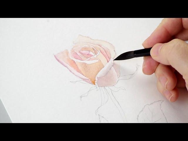 Watercolor Rose Tutorial Part 1