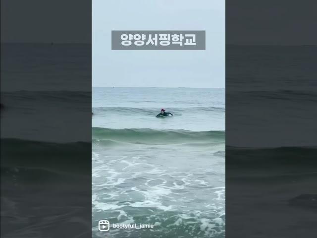 양양서핑학교