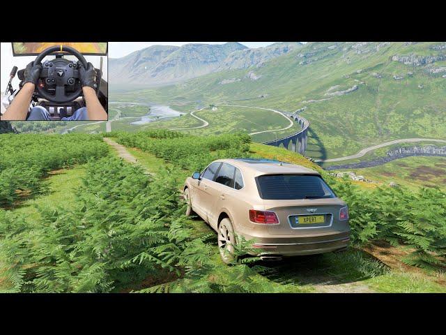 Bentley Bentayga | Realistic offroading - Forza Horizon 4 | Thrustmaster TX gameplay