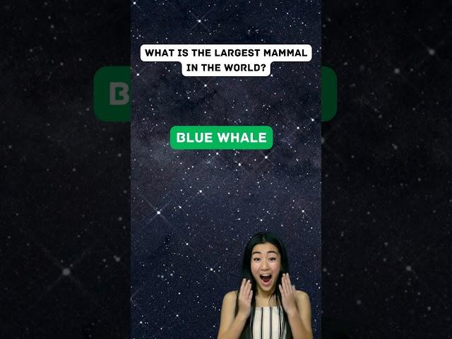  Engaging Quiz Challenge: Can You Solve These Mind-Bending Puzzles?