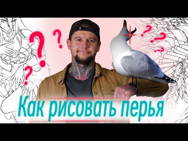 КАК РИСОВАТЬ ПЕРЬЯ?!