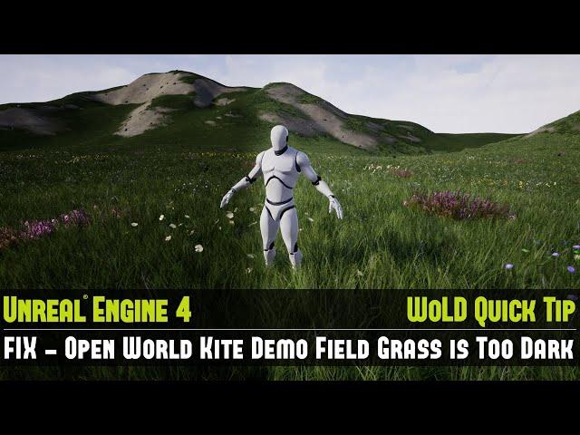 UE4 Quick Tip #12: Fix - Open World Kite Demo Field Grass is Too Dark