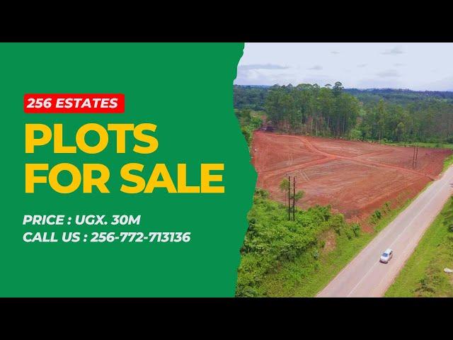 Affordable Land for Sale on Gobero Highway Estate | 256 Estates Uganda