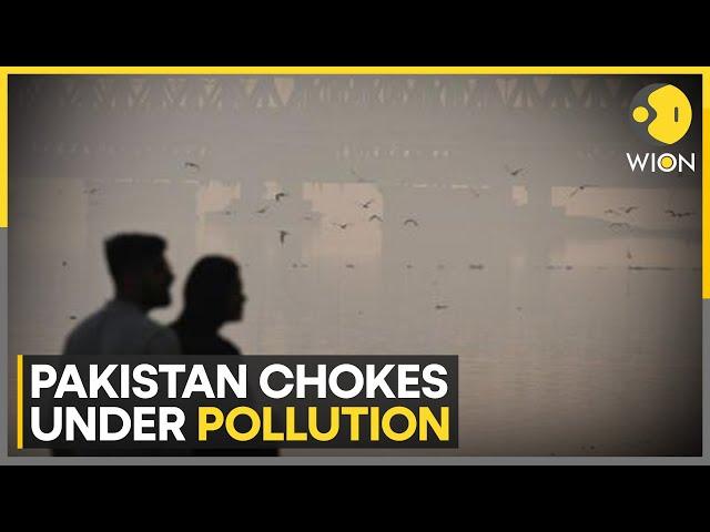 Pakistan Continues To Grapple With Smog | Air Pollution | World News | WION Climate Tracker