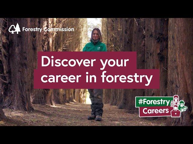 Discover your career in forestry