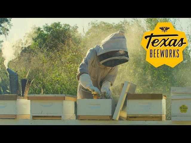 Texas Beeworks Brand Video (Beekeeper)