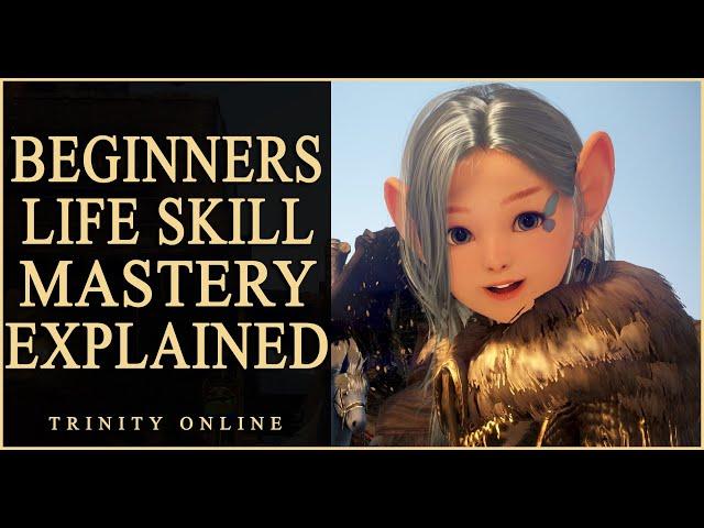 WHAT IS LIFESKILL EXP AND MASTERY beginners guide. Tools Accessories gears Black Desert Online BDO