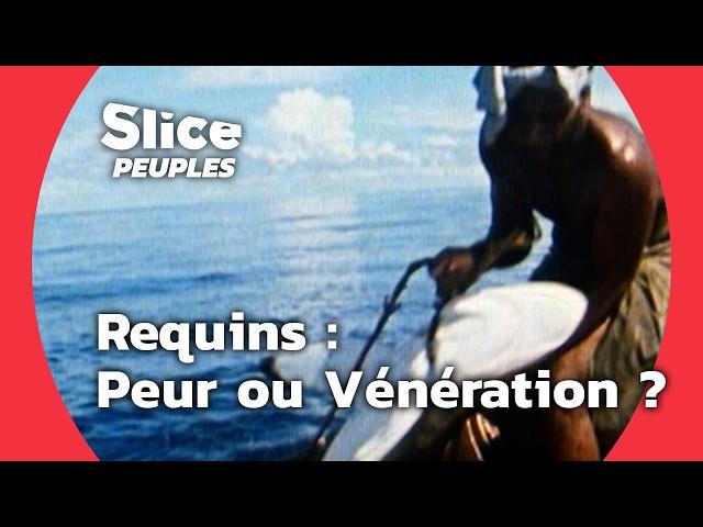 Requins : Monstre ou Dieu ? Voyage à Travers les Mythes | SLICE PEUPLES