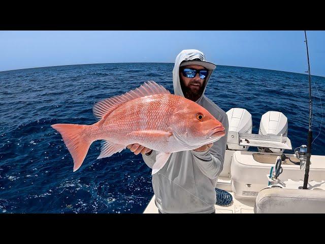 Solo Trip | Commercial Red Snapper Fishing | Profit Breakdown