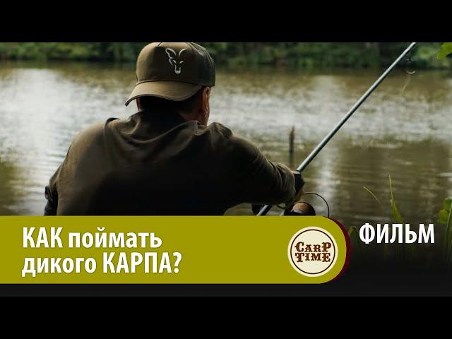 ⭐ КАК ловить КАРПА на НЕЗНАКОМОМ водоеме? КАРПФИШИНГ на ДИКОМ озере с CarpTime! ФИЛЬМ