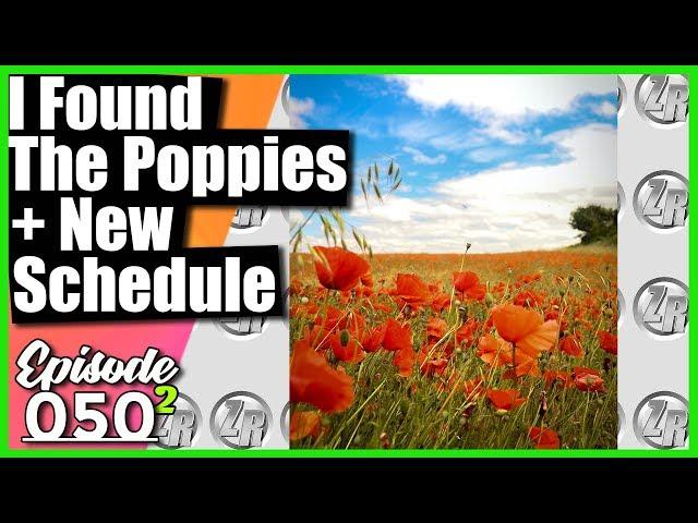 Poppy Photography and my NEW YouTube Schedule // Zander Round Vlog