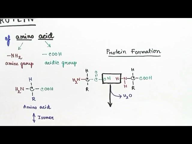 Protein Structure Biochemistry | Hindi | by Snigdha Goswami