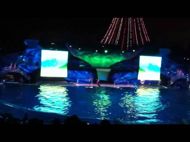 Sea World San Diego, Killer Whales night show