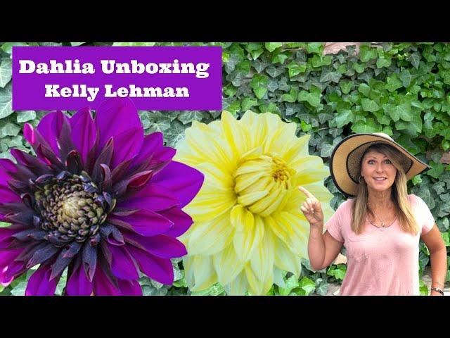 Dahlia Unboxing - Kelly Lehman