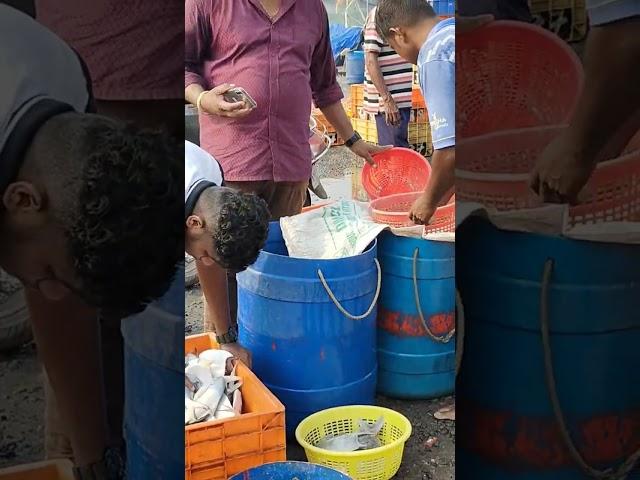 Versova fish market