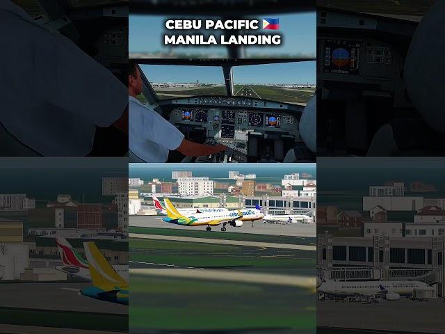 Cebu Pacific A321 Landing at Manila! #shorts #flightsim #aviation #aeroflyfsglobal #avgeek
