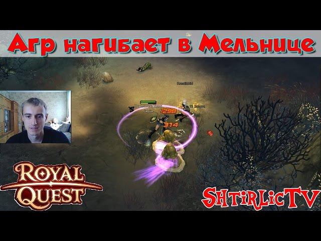 Royal Quest - Агр нагибает в мельнице