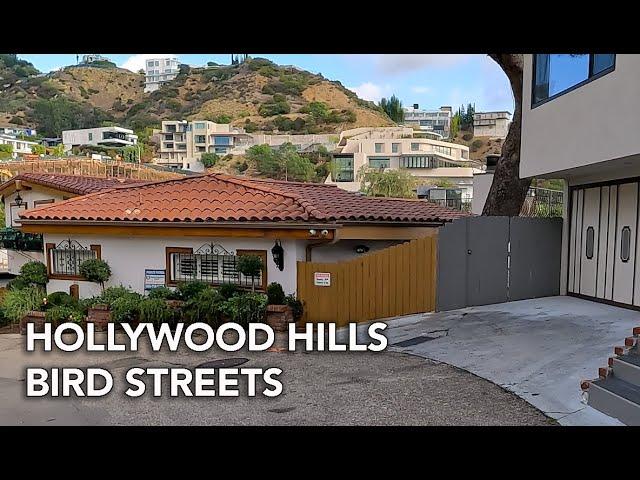 Driving Hollywood Hills, The Bird Streets