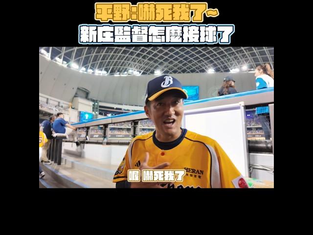 平野：嚇死我了～新庄監督你怎麼接球了？！ CTBC Brothers